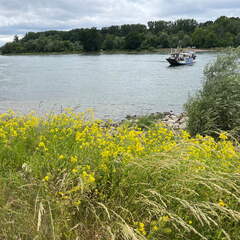 22-05-27 14-50-25 0909